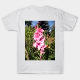 Pink hollyhock T-Shirt